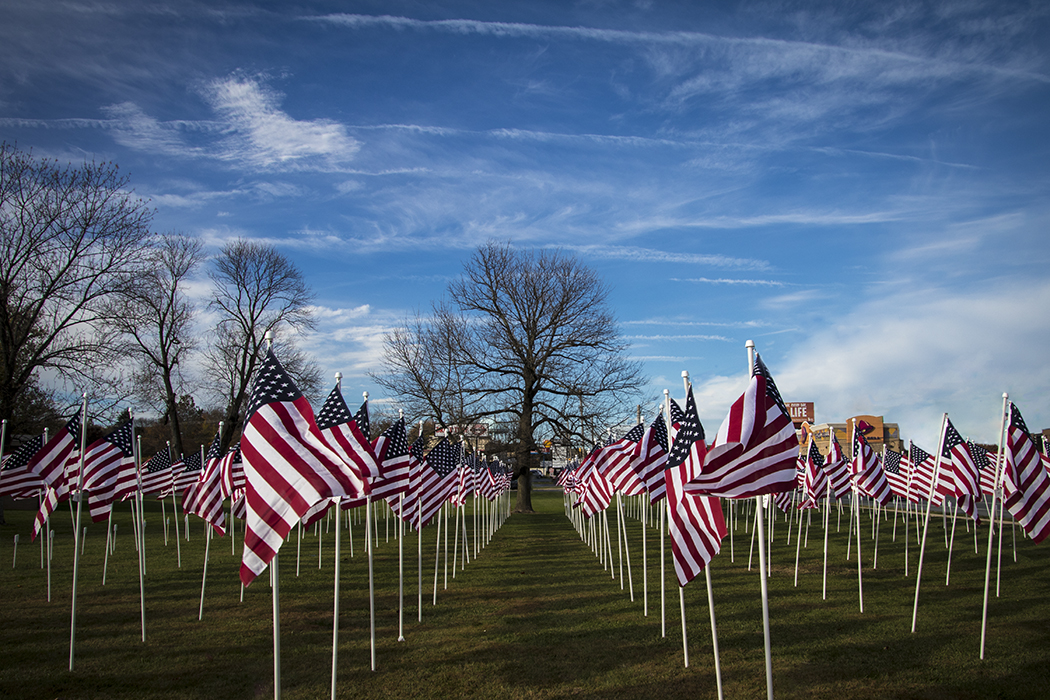 HomelessVeteransFlags_2016_web